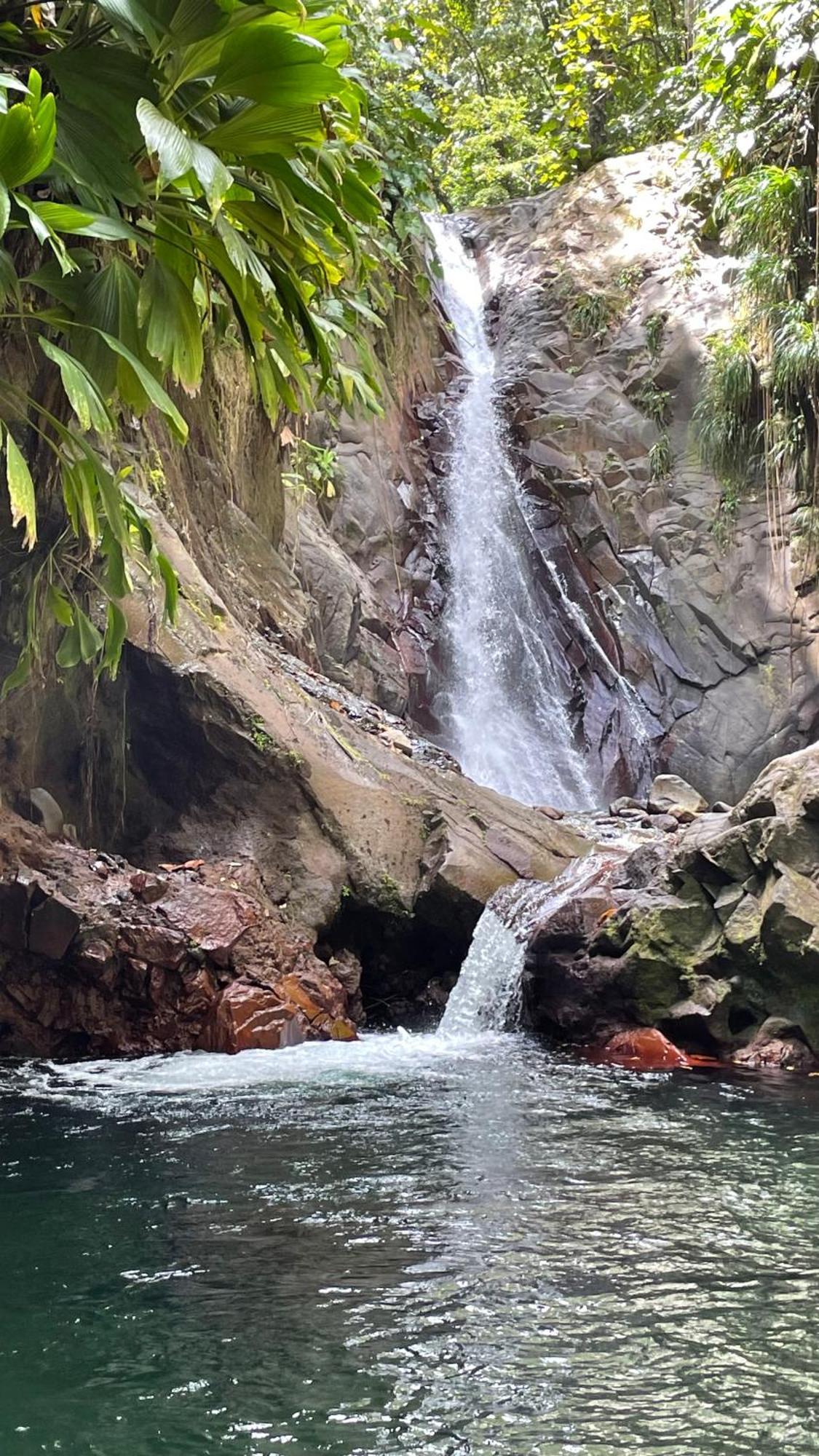 Cauris Lodge Du Marisol Vue Mer Acces Direct Plage Avec Citerne D Eau لو جوسيير المظهر الخارجي الصورة